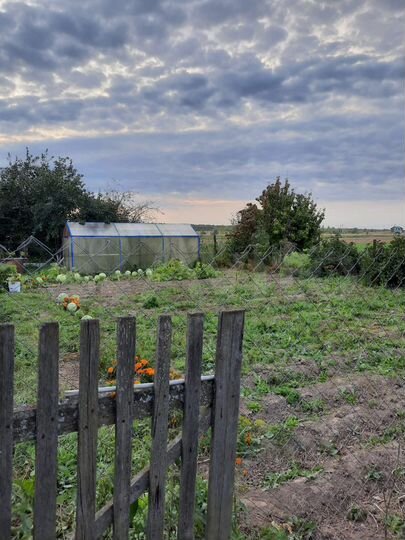 Дом 90 м² на участке 50 сот.