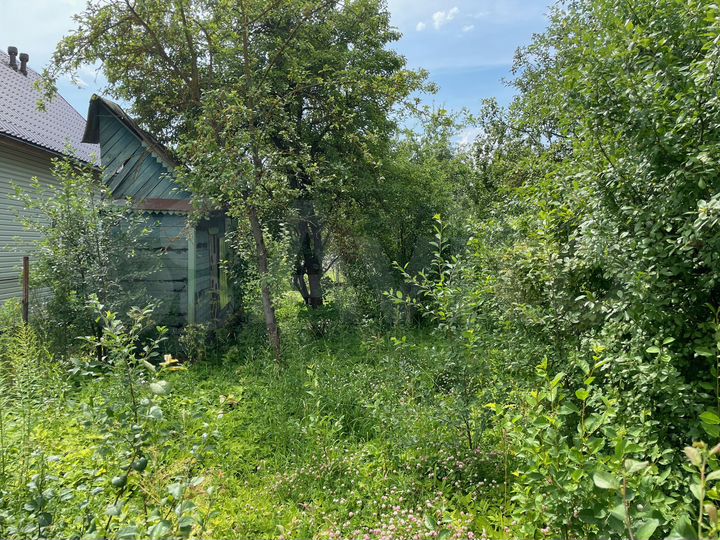 Участок 4,2 сот. (СНТ, ДНП)