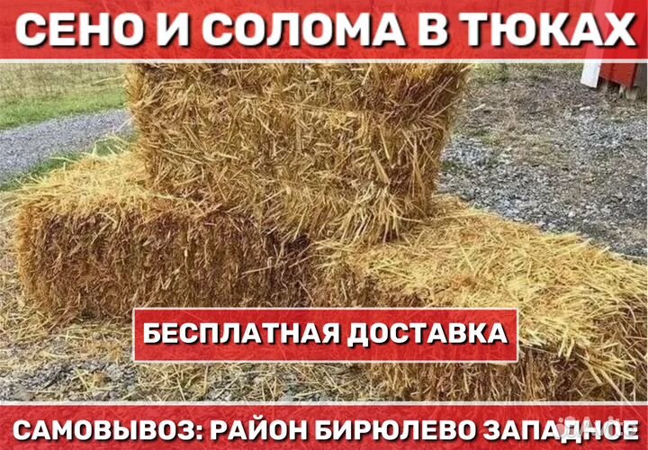 Солома в тюках Сено от производителя 2022
