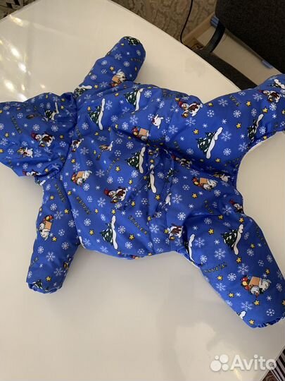 Одежда для маленьких собак