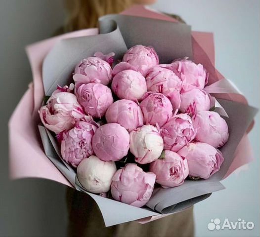 Пионы Сара Бернар