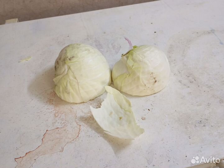 Пищевые отходы для животных