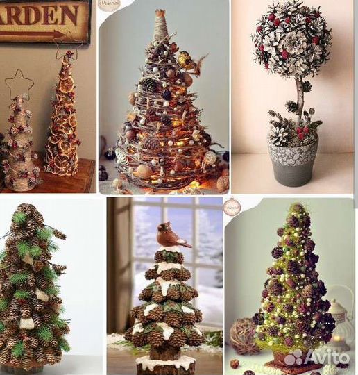 Шишки сосновые