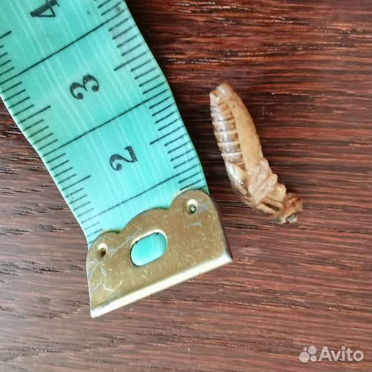 Сверчки домовые предимаго замороженные