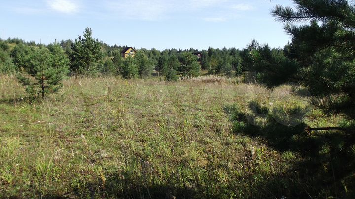 Участок 50 сот. (ИЖС)