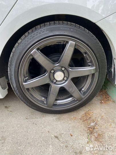 Дики на весту