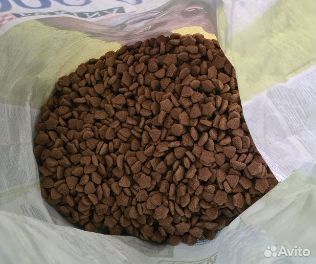 Корм для собак