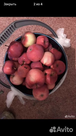 Вкусные яблоки