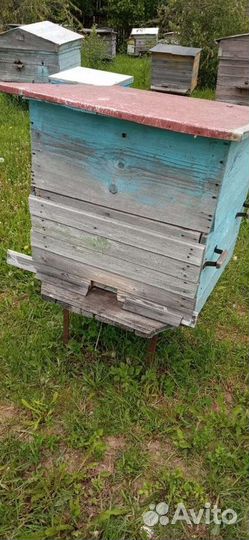 Улей с пчелами