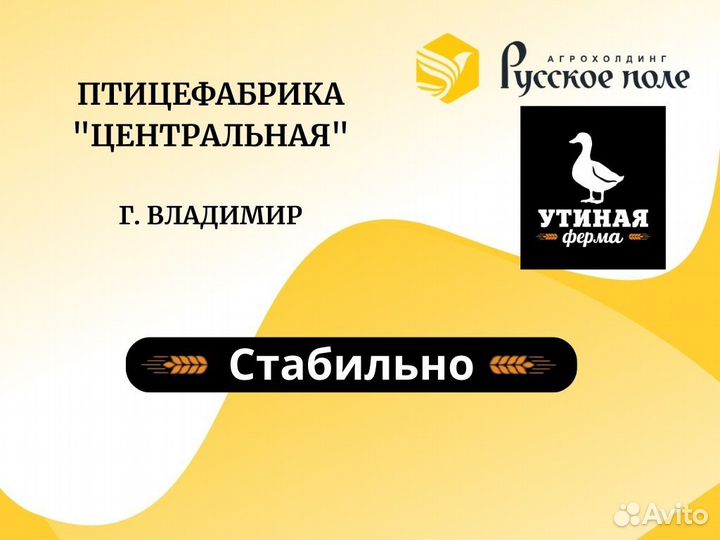 Рекрутер удаленно