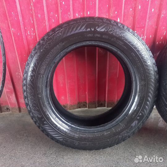 Gislaved Soft Frost 200 175/65 R14