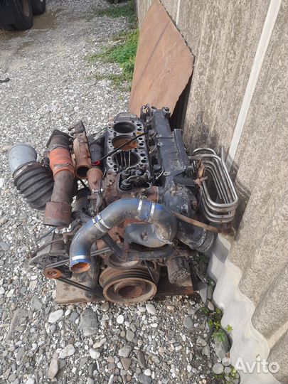 Мотор man камандор