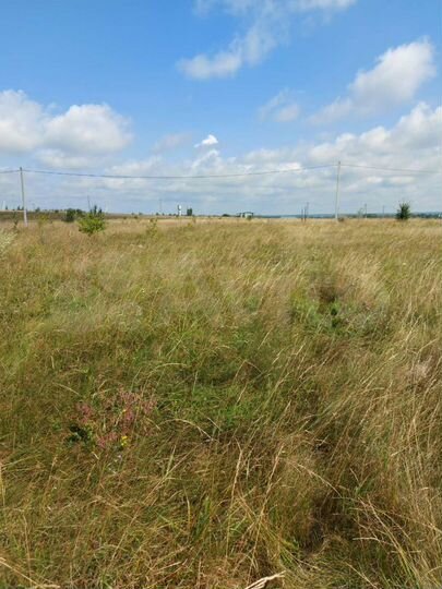 Участок 15 сот. (ИЖС)