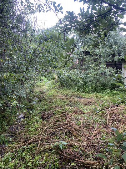 Дом 35 м² на участке 2,4 сот.