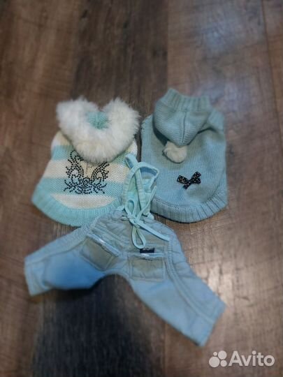 Одежда для мини собаки Puppy angel