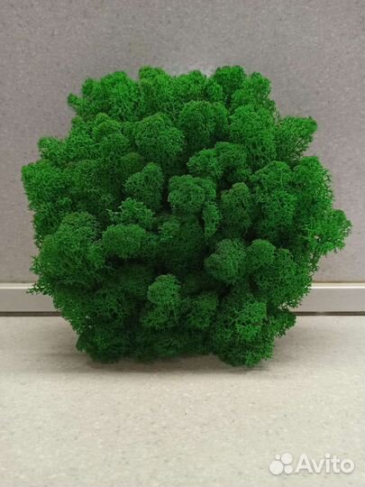 Декоративное панно из стабилизированного мха