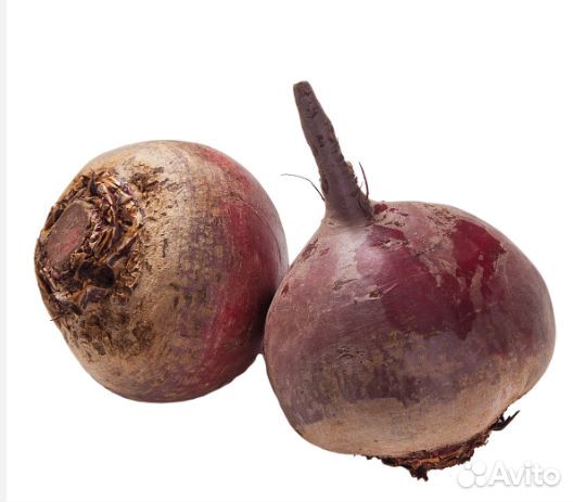 Свекла свежая