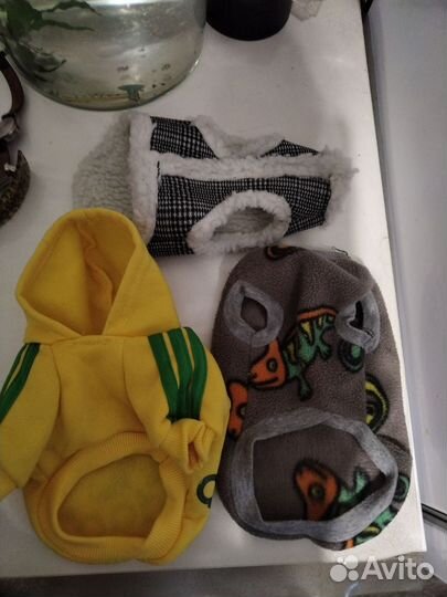 Одежда для маленьких собак