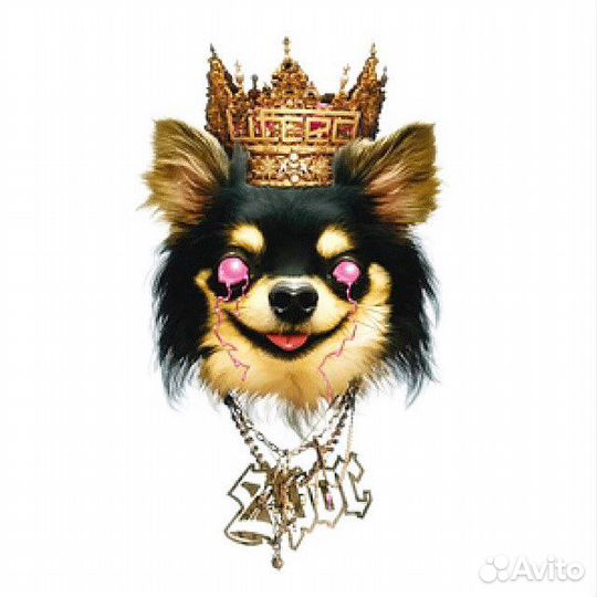 Груминг Салон Мистер Шпиц