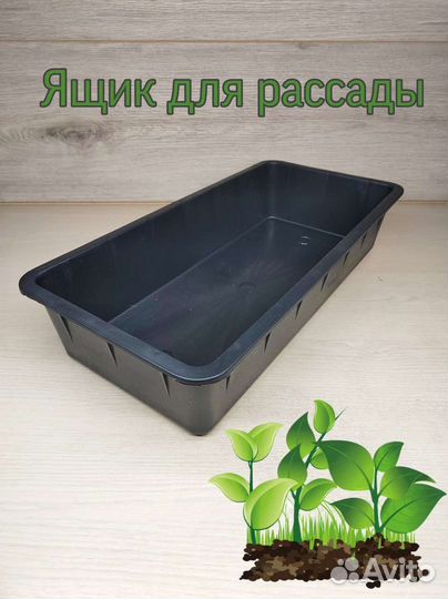 Ящик для рассады