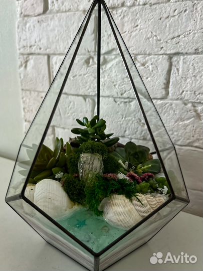 Флорариум, подарок