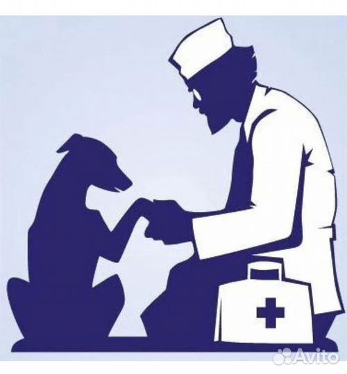 Усыпить кошку собаку, эвтаназия кремация