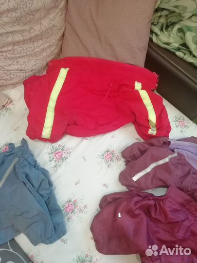 Комбинезоны жилетки французский бульдог