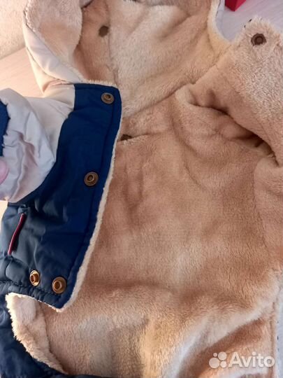 Одежда для собак мелких пород