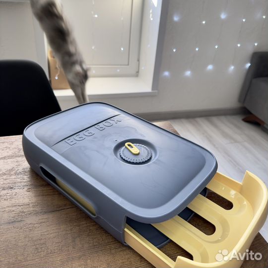 Контейнер для яиц