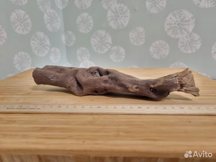 Коряги для аквариума. Террариум