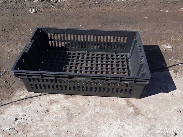 Хлебный, евролоток, ящик пластик под рассаду