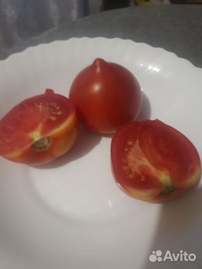 Семена томатов