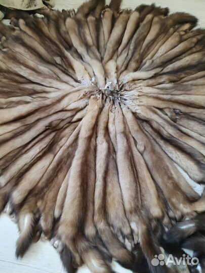 Продам шкуры соболя