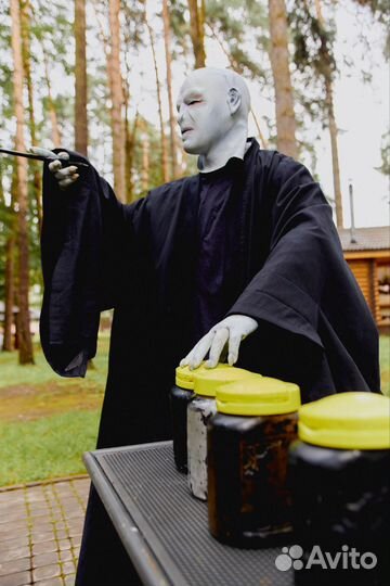 Выездной квест для детей Гарри Поттер