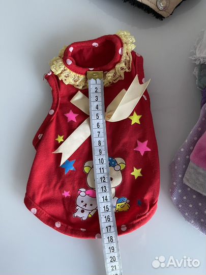 Для братьев наших меньших