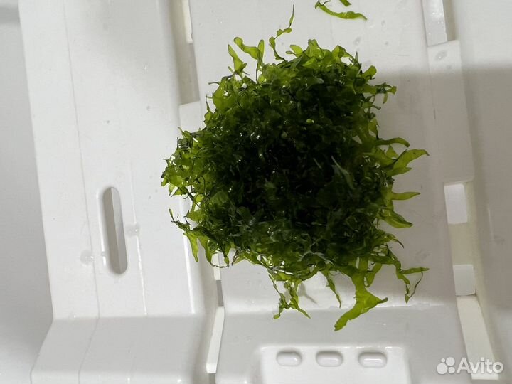 Украшение для аквариума