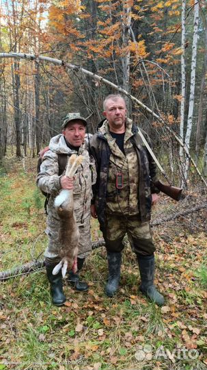 Охота с гончей