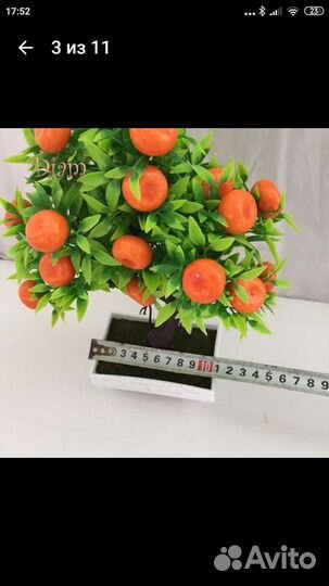 Интерьерное дерево-бансай