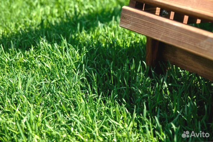 Рулонный газон под ключ