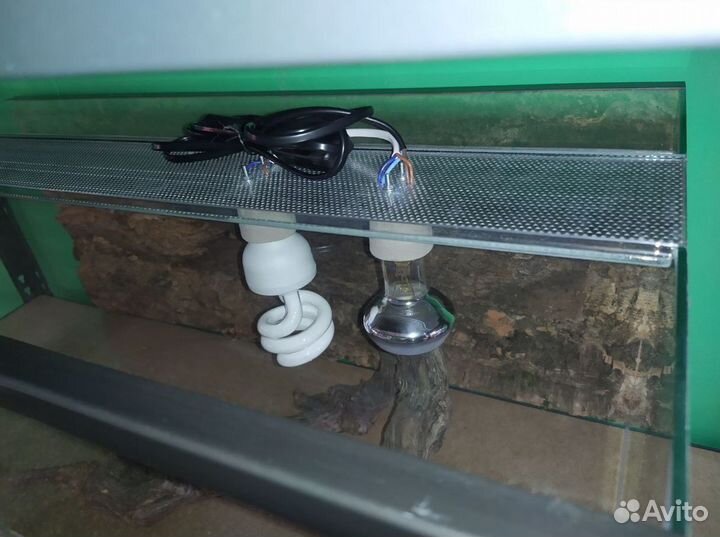 Террариум для рептилий