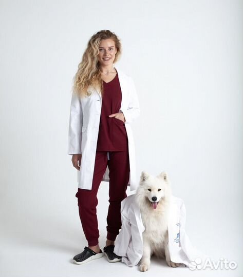 Аренда Самоеда