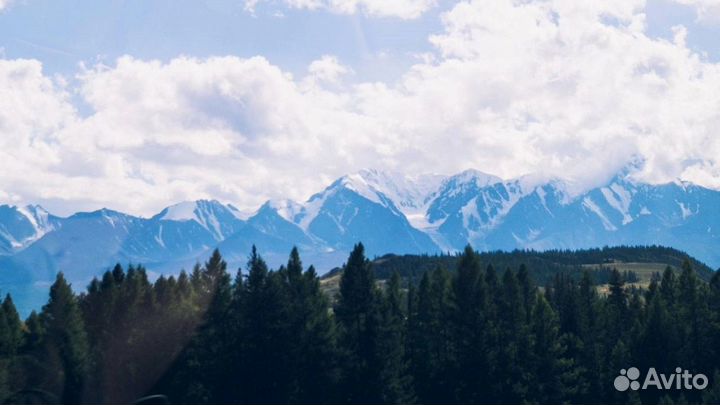 Турпутевка на Алтай летний экспедиция 5-9 дн