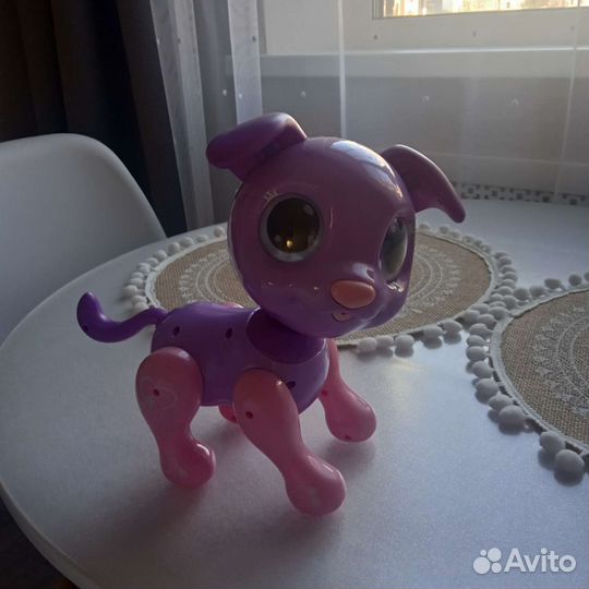 Собака робот