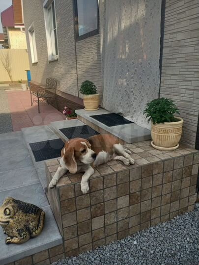 Дом 110 м² на участке 19 сот.