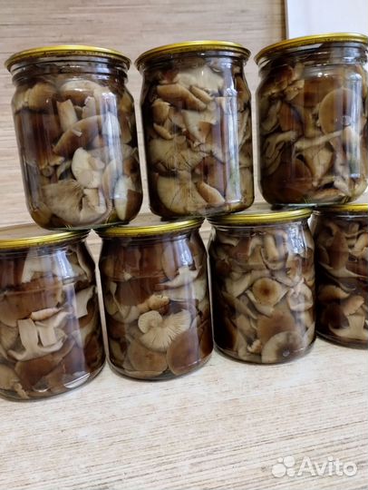 Грибы маринованные -опята 0,5л