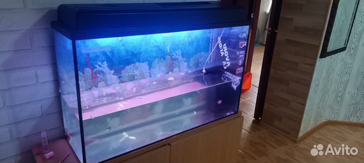 Аквариум с тумбой