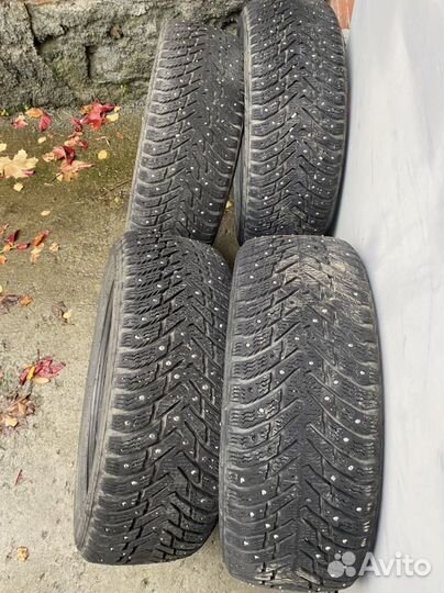 Nokian Tyres Hakkapeliitta 8 205/55 R16