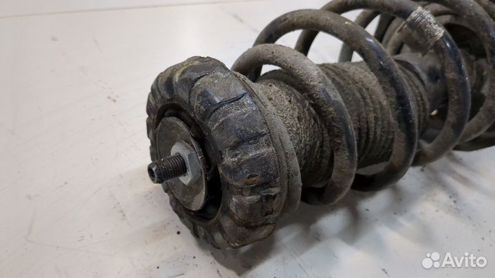 Амортизатор подвески Opel Insignia, 2015