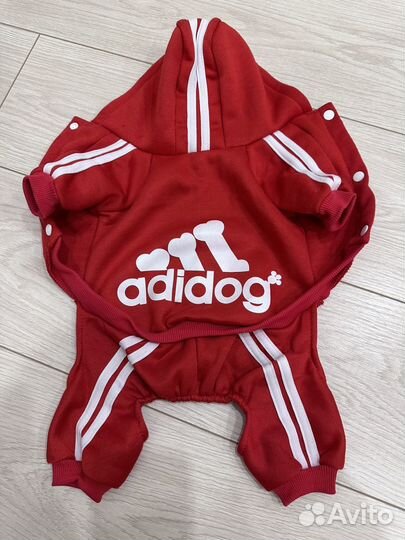 Одежда для собак