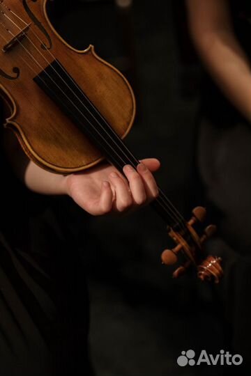 Репетитор по скрипке, сольфеджио